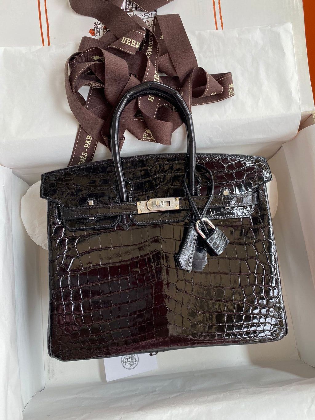 Birkin 25 Alligator Leather Bag