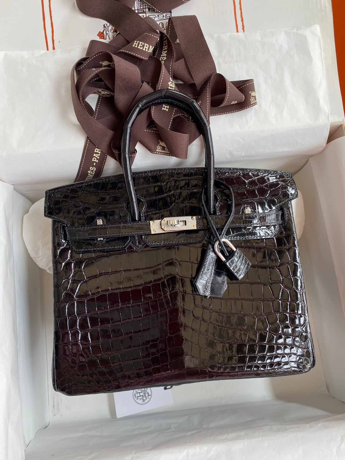 Birkin 25 Alligator Leather Bag