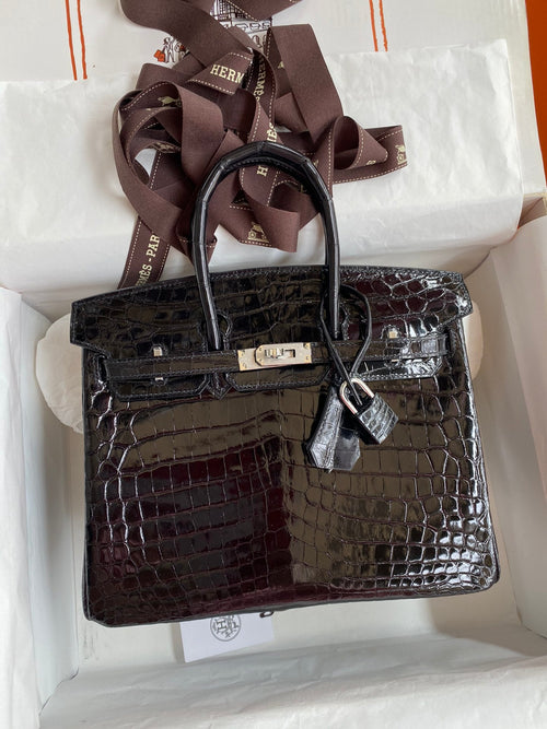 Birkin 25 Alligator Leather Bag