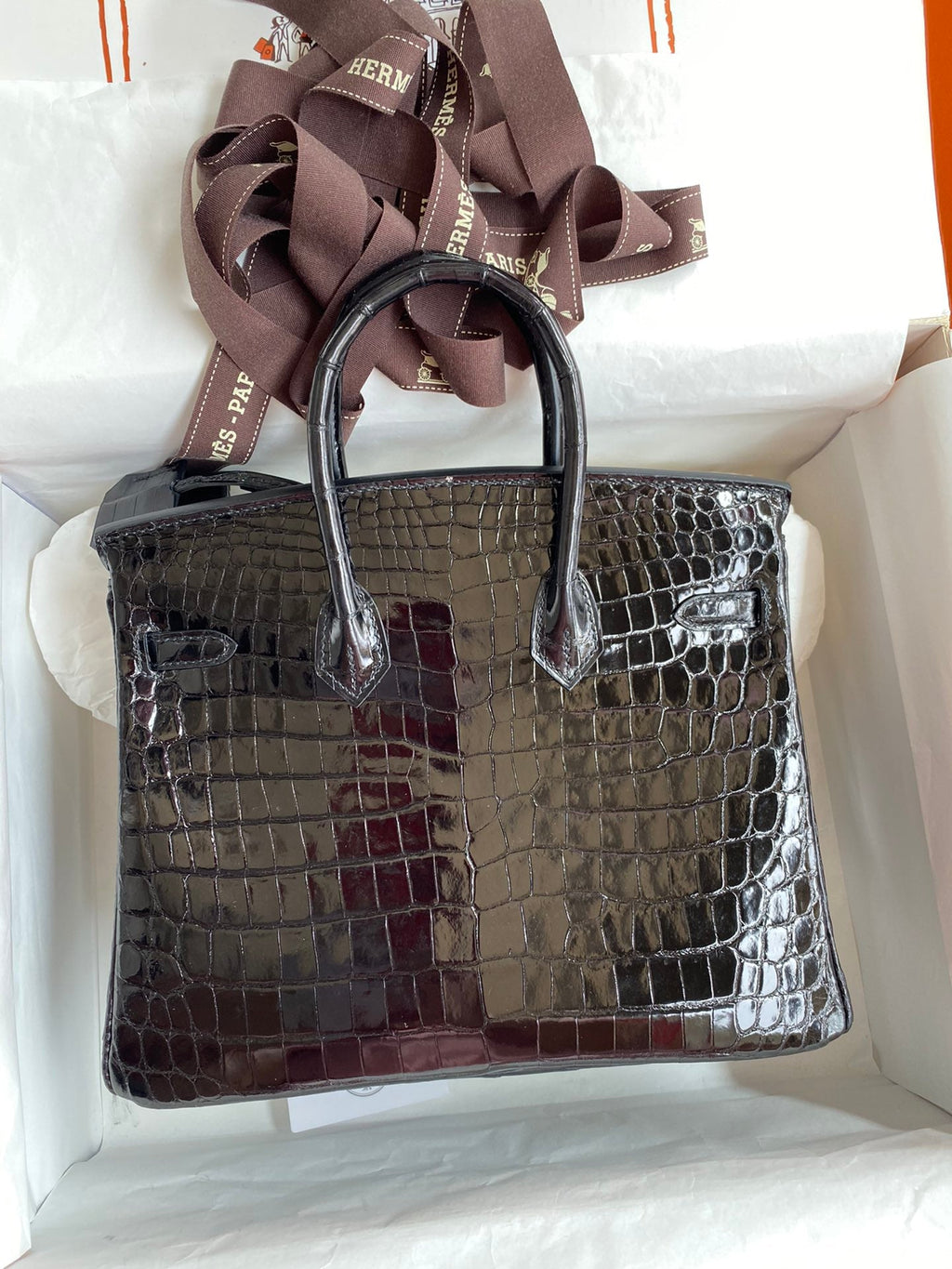 Birkin 25 Alligator Leather Bag