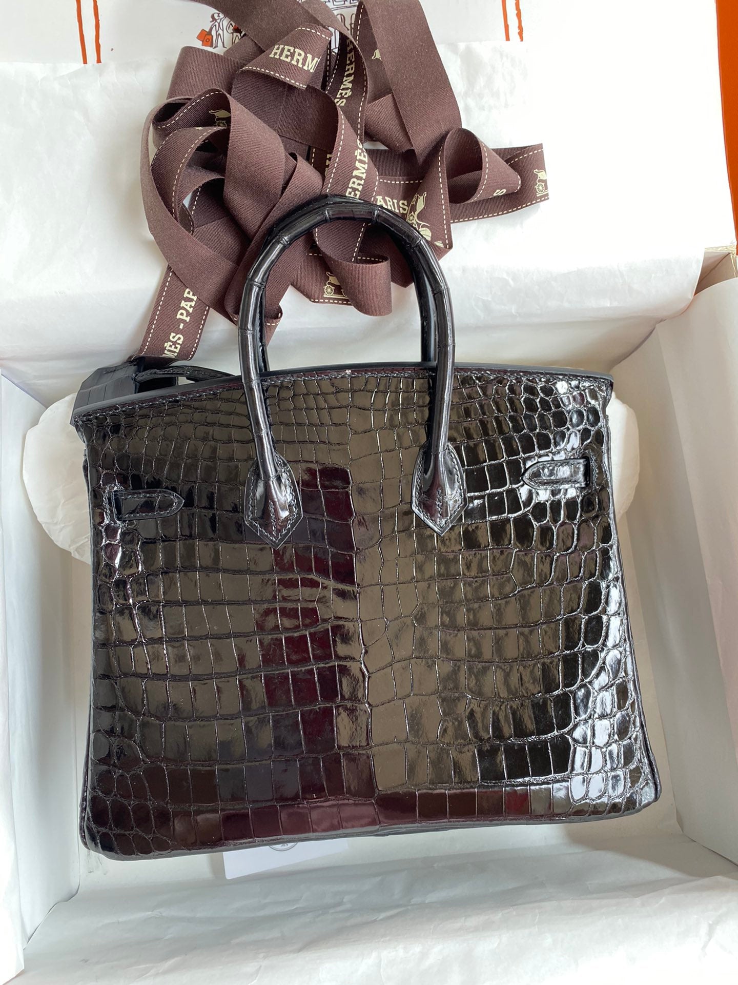 Birkin 25 Alligator Leather Bag