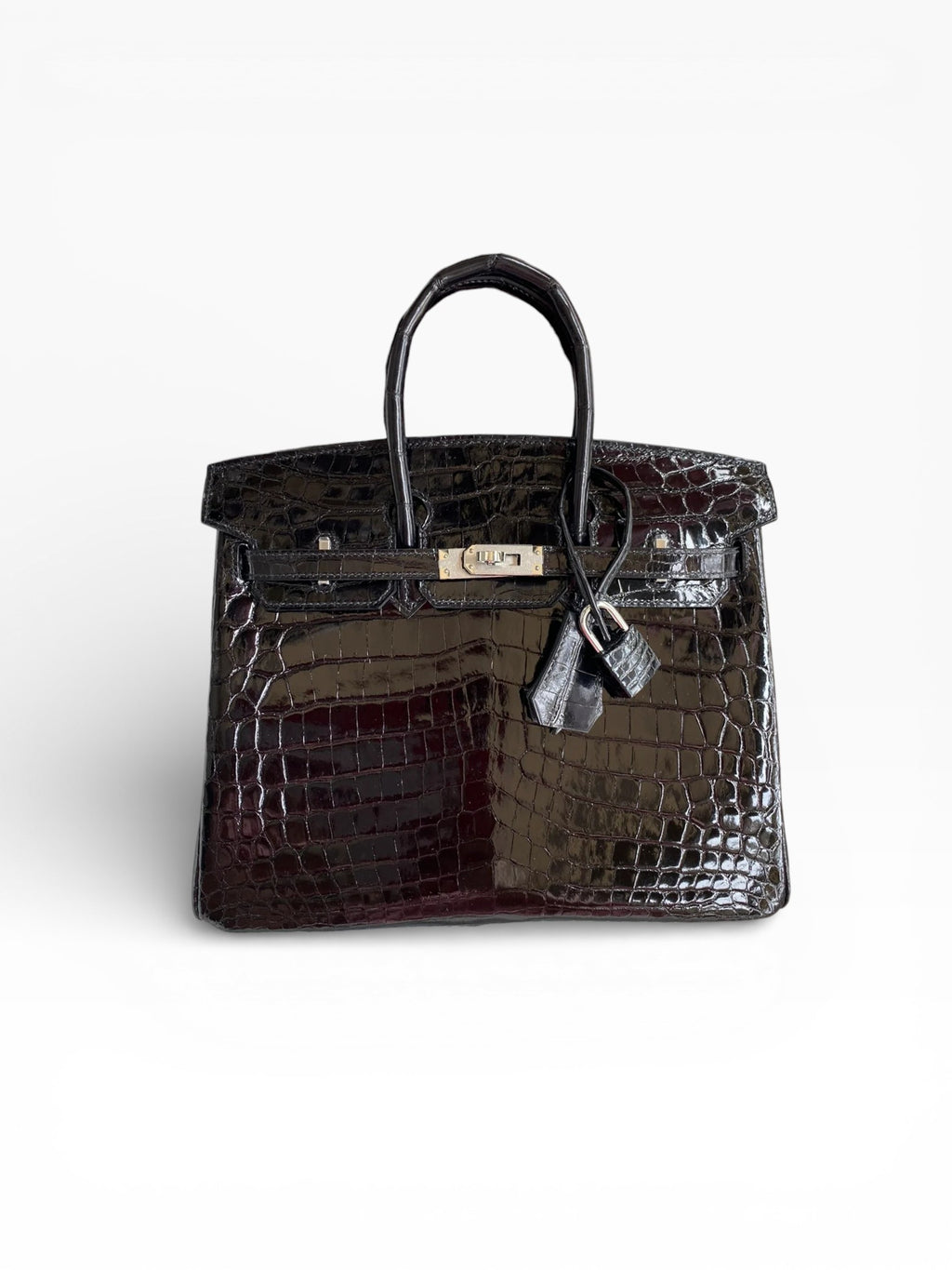 Birkin 25 Alligator Leather Bag