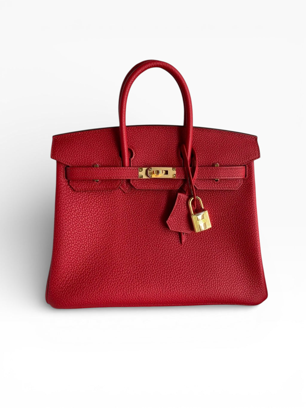 Birkin 25 Togo Leather Handbag