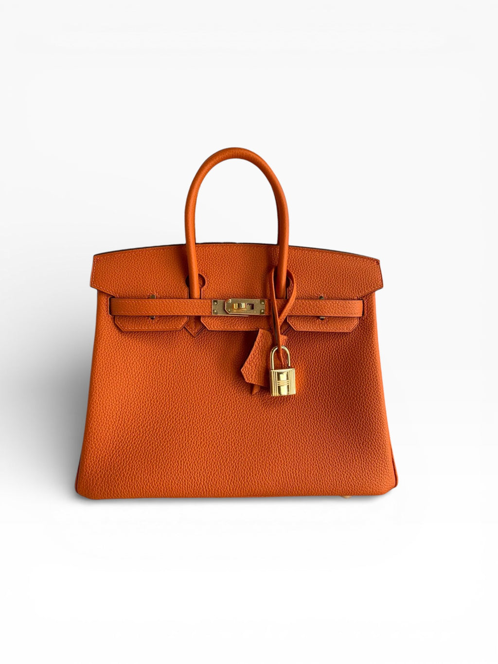 Birkin 25 Togo Leather Handbag