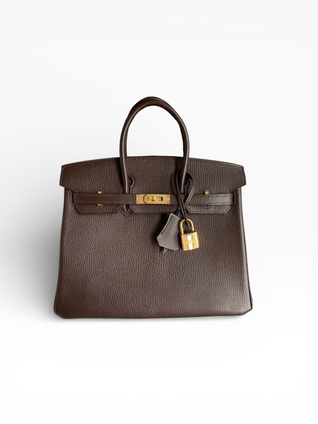 Birkin 25 Chevre (Goat Leather) Bag