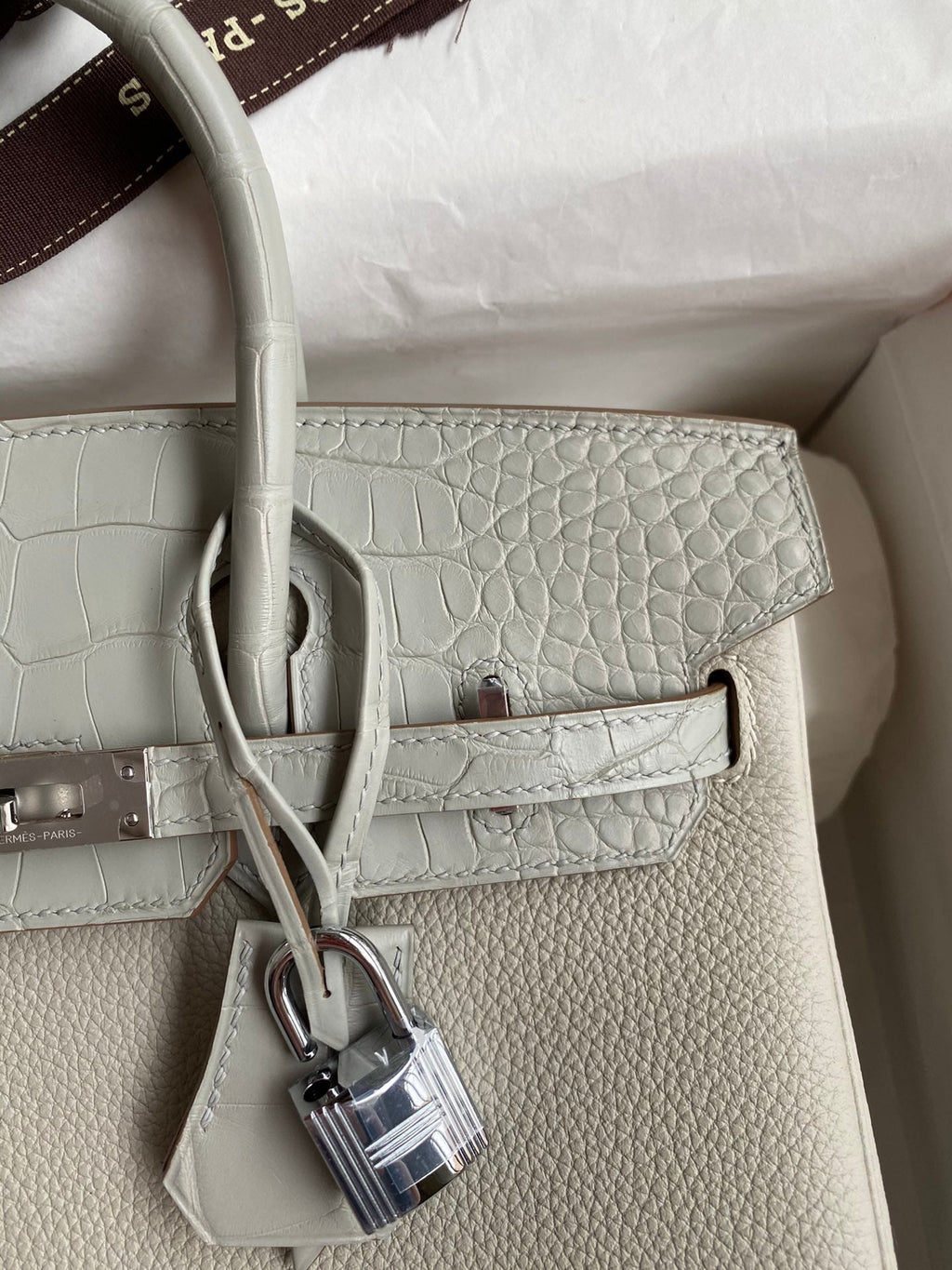 Birkin 30 Togo Leather & Crocodile Leather Bag - Silver Hardware | Full Set
