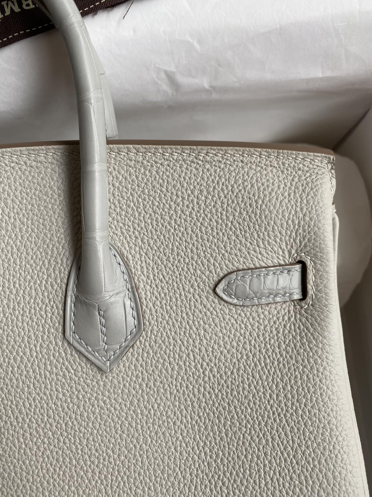 Birkin 30 Togo Leather & Crocodile Leather Bag - Silver Hardware | Full Set