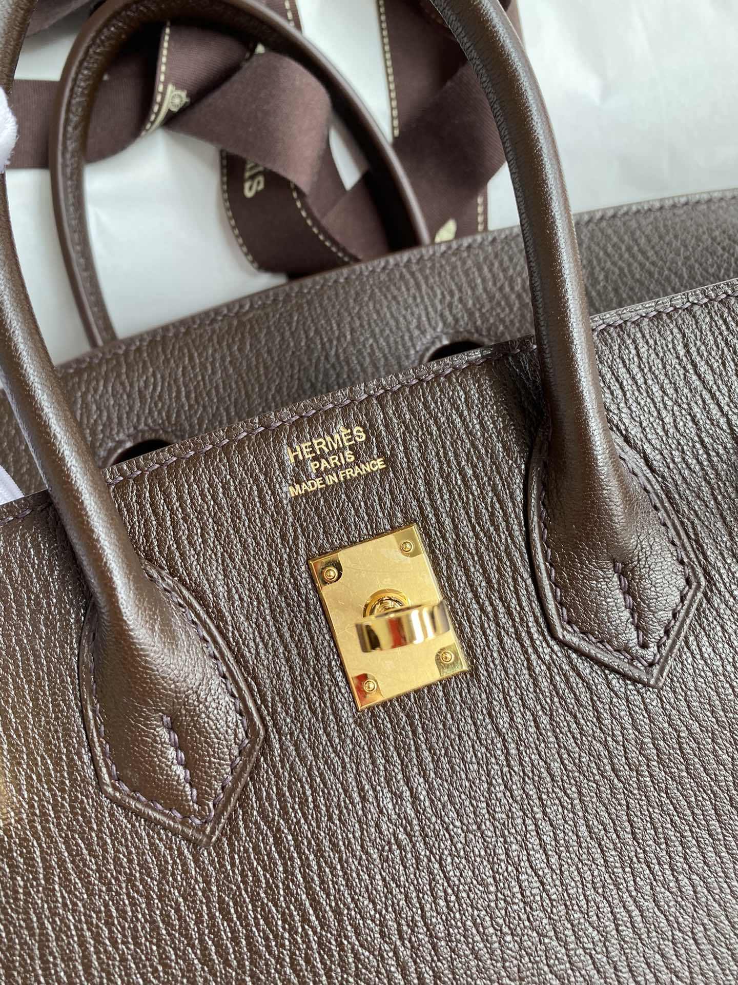 Birkin 25 Chevre (Goat Leather) Bag
