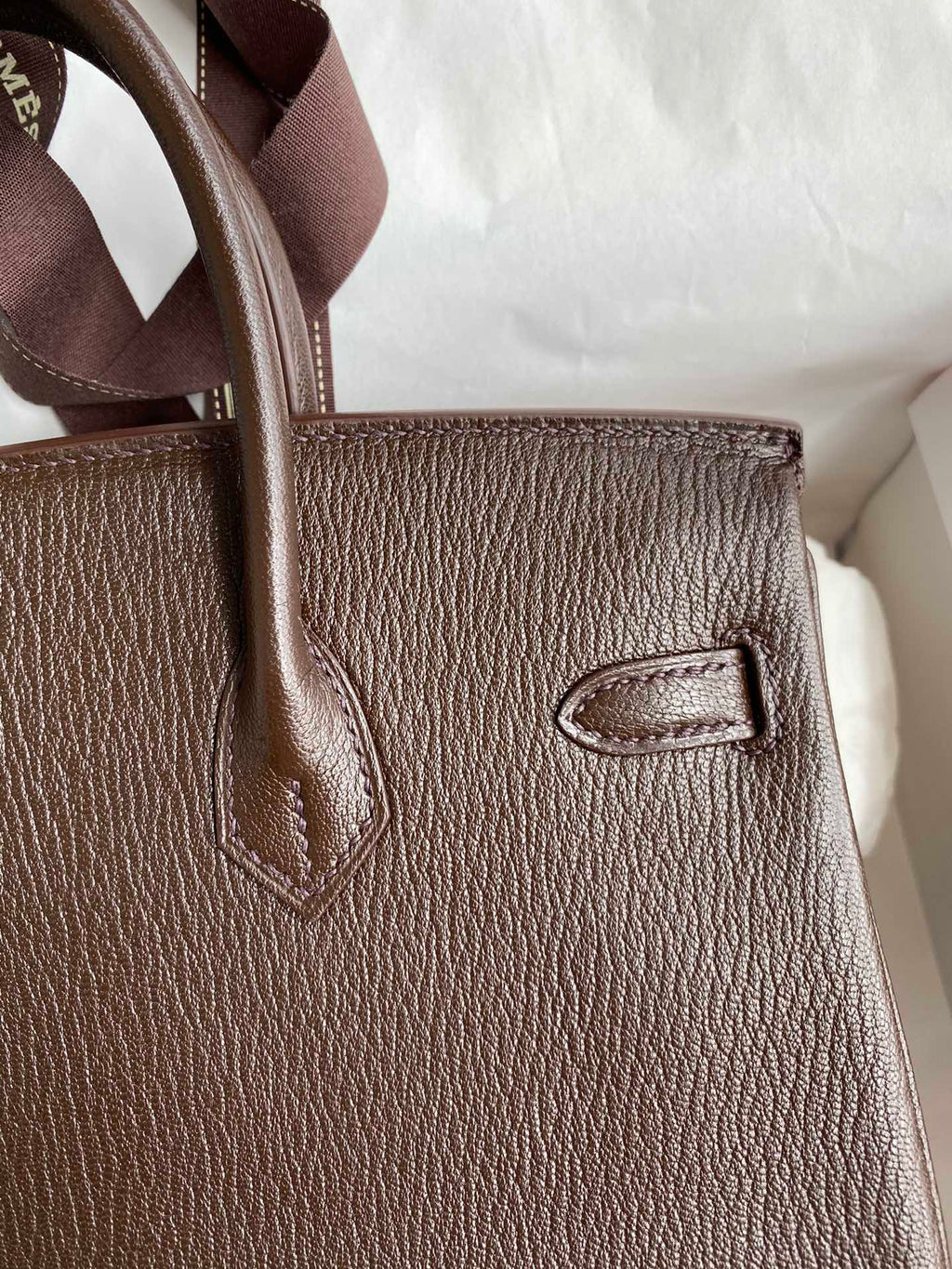 Birkin 25 Chevre (Goat Leather) Bag