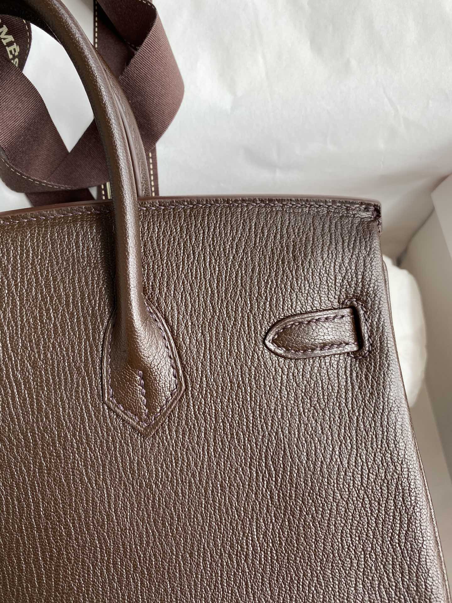 Birkin 25 Chevre (Goat Leather) Bag