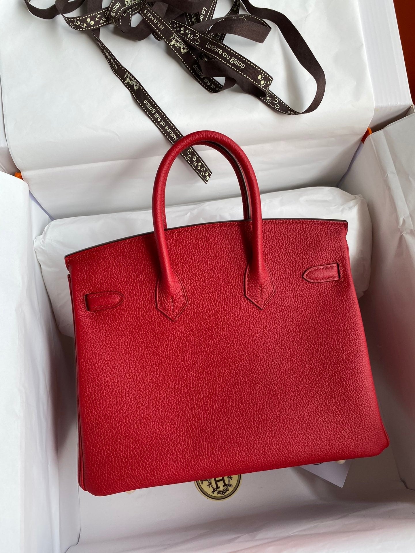 Birkin 25 Togo Leather Handbag