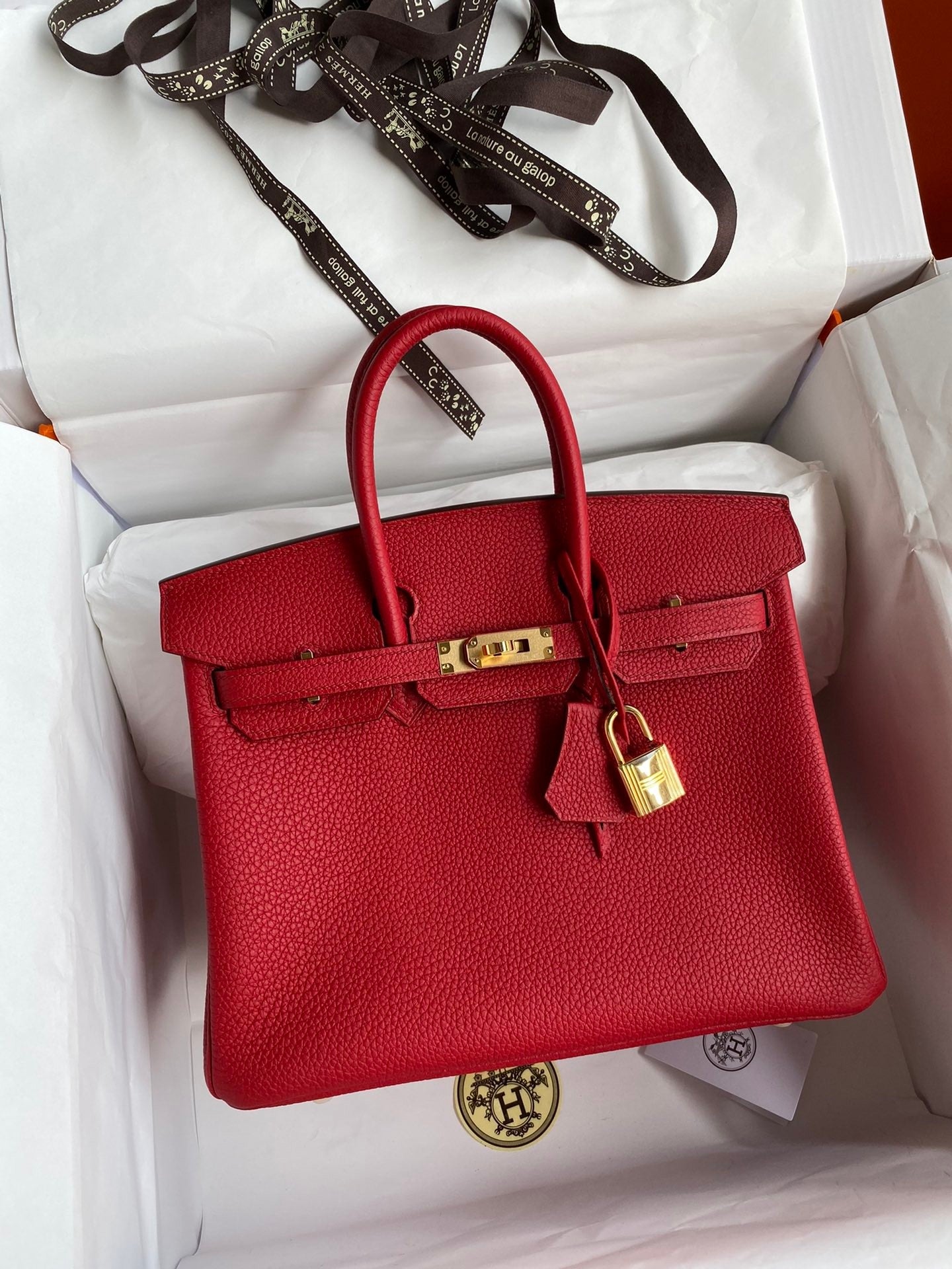 Birkin 25 Togo Leather Handbag