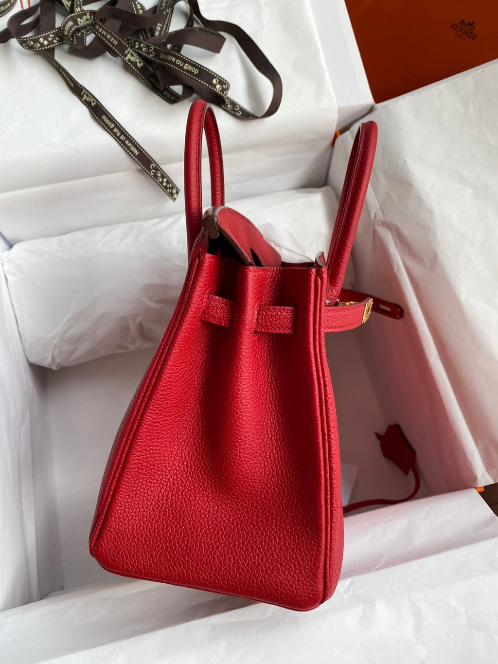 Birkin 25 Togo Leather Handbag