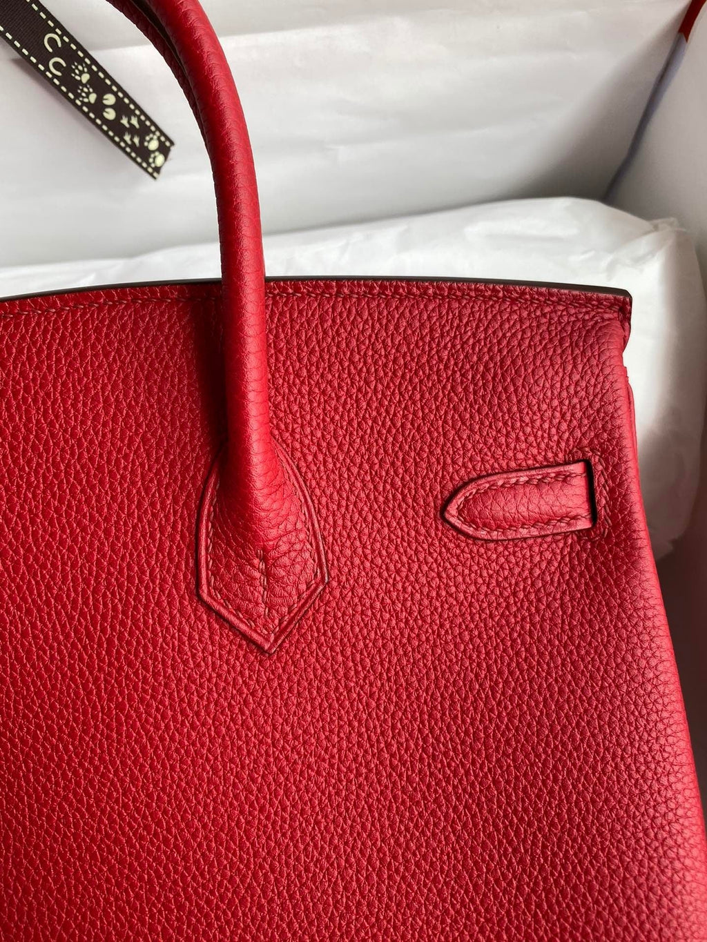 Birkin 25 Togo Leather Handbag
