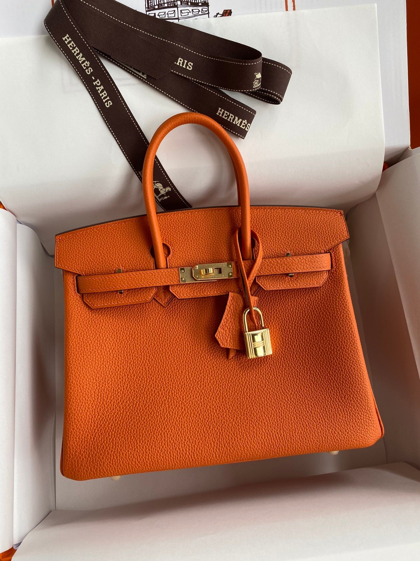 Birkin 25 Togo Leather Handbag