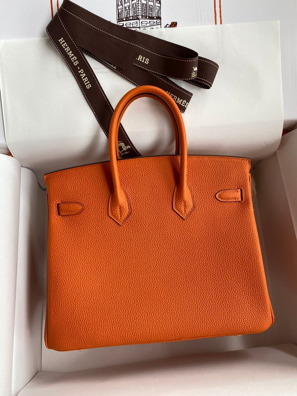 Birkin 25 Togo Leather Handbag