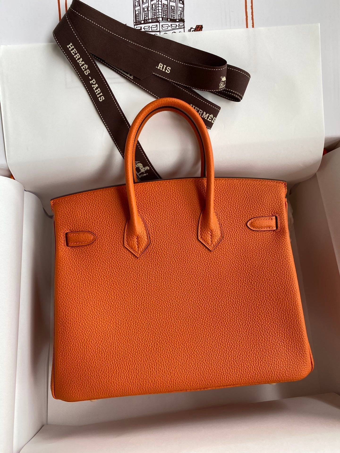 Birkin 25 Togo Leather Handbag