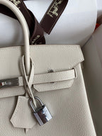 Birkin 25cm Togo Leather Handbag - Silver hardware