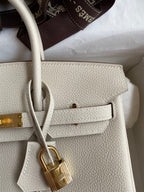 Birkin 25cm Togo Leather Handbag - Gold hardware