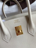Birkin 25cm Togo Leather Handbag - Gold hardware