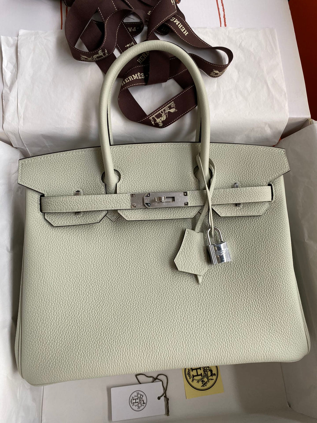 Light green handbag with silver hardware on a white surface
