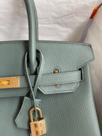 Birkin 30 Togo Leather - Gold Hardware | Full Set