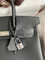 Birkin 30 Togo Leather - Silver Hardware | Full Set