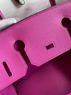 Birkin 30 Togo Leather - Silver Hardware | Full Set