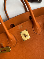 Birkin 30 Togo Leather - Gold Hardware | Full Set