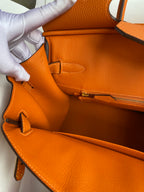 Birkin 30 Togo Leather - Gold Hardware | Full Set