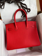 Birkin 30 Togo Leather - Gold Hardware | Full Set