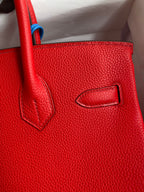 Birkin 30 Togo Leather - Gold Hardware | Full Set