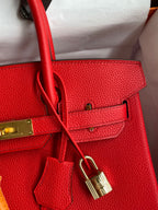 Birkin 30 Togo Leather - Gold Hardware | Full Set